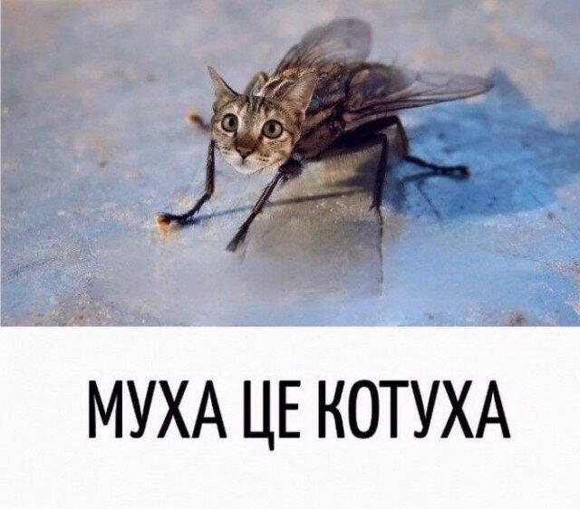 Неделя со вкусом дички