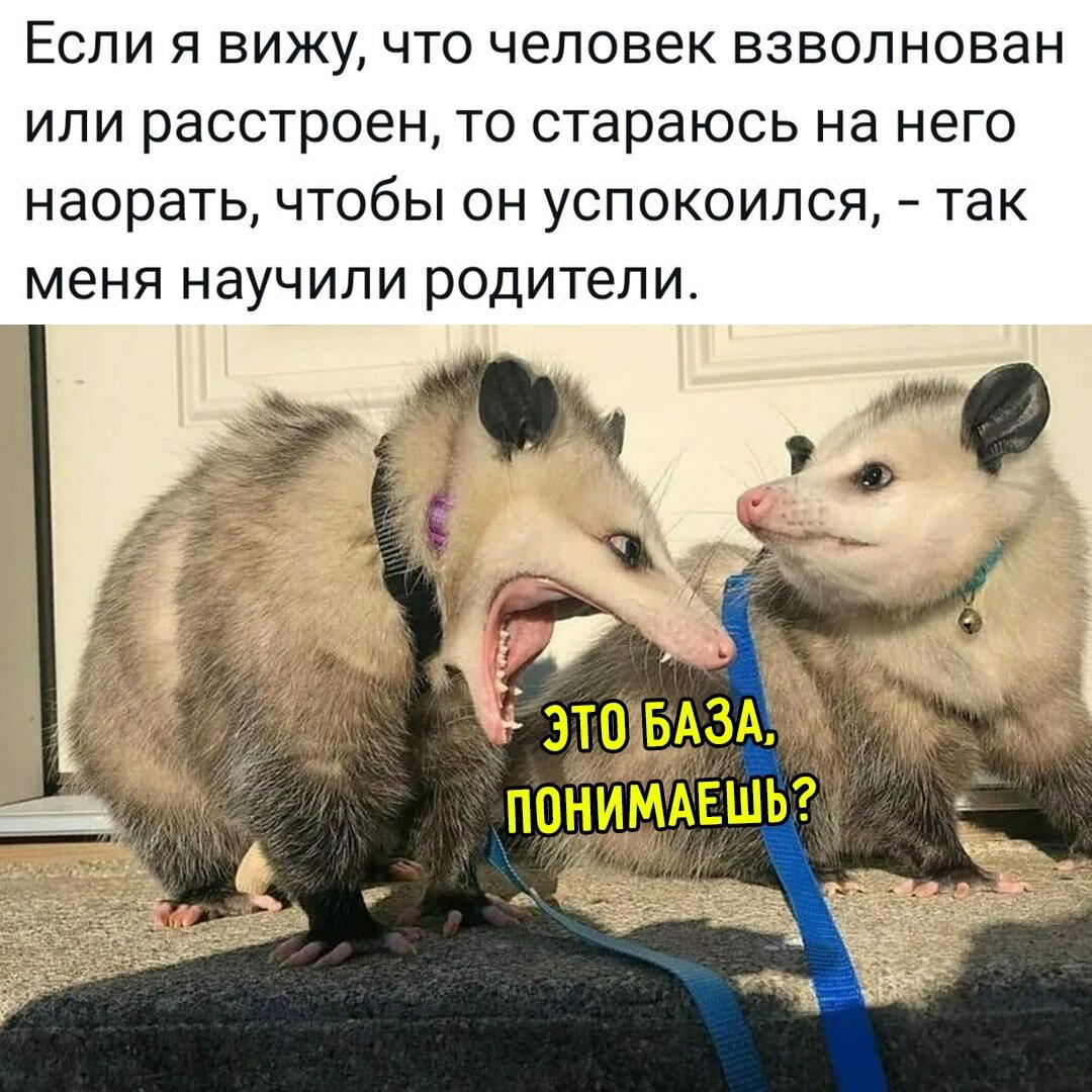 Неделя со вкусом дички