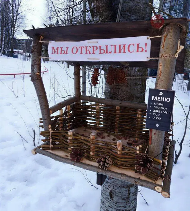 С дичкой веселее