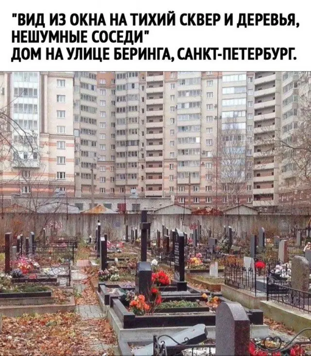 С дичкой веселее