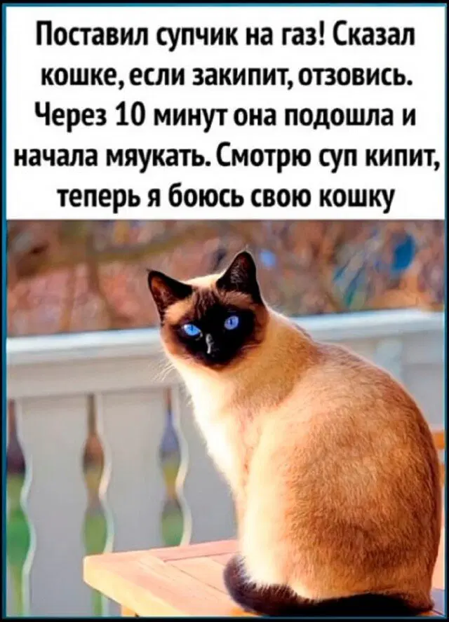 С дичкой веселее