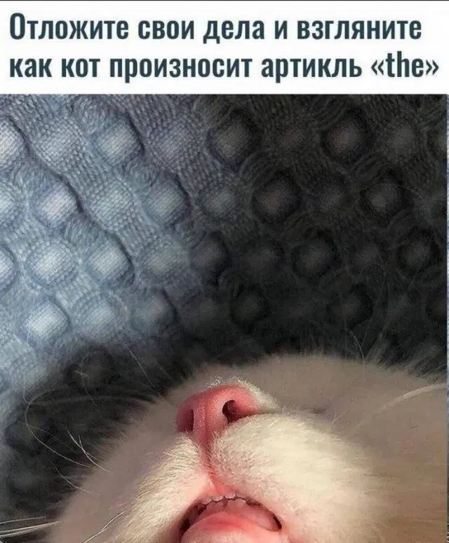 В торник дичко