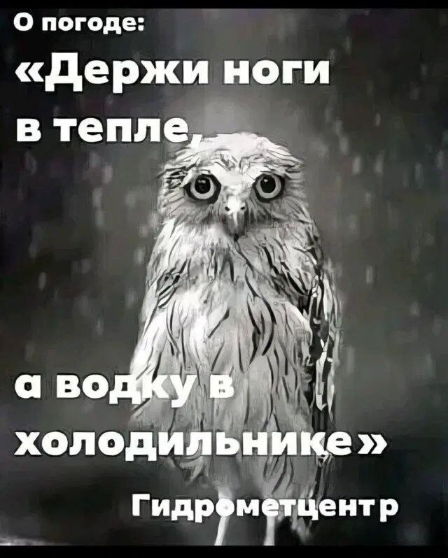 В торник дичко