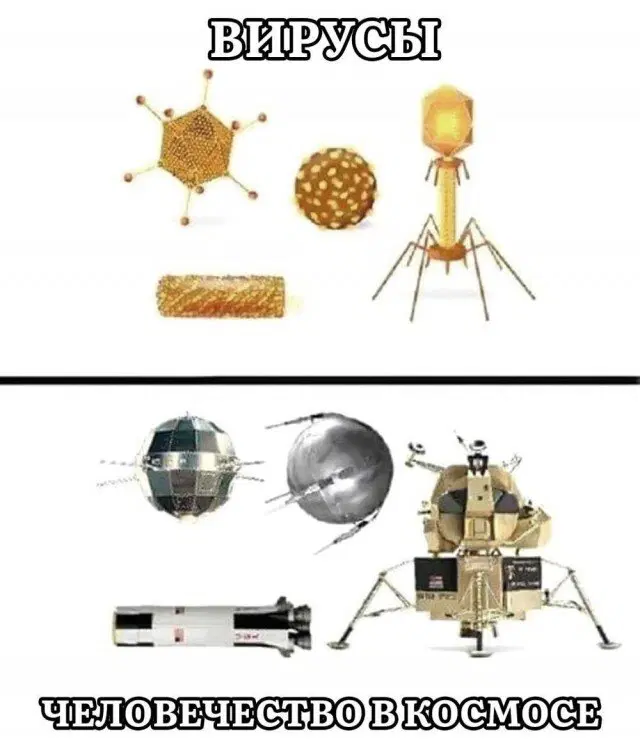 В торник дичко