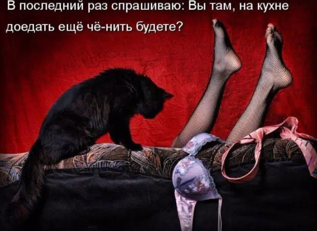 В торник дичко