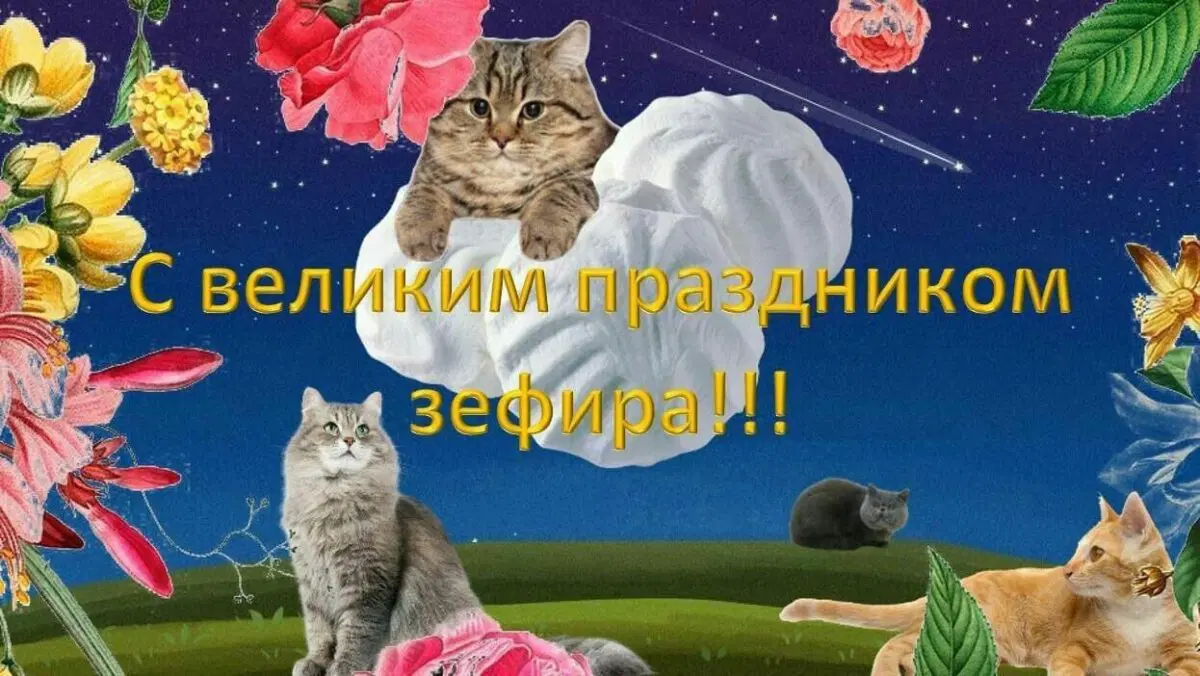 В торник дичко