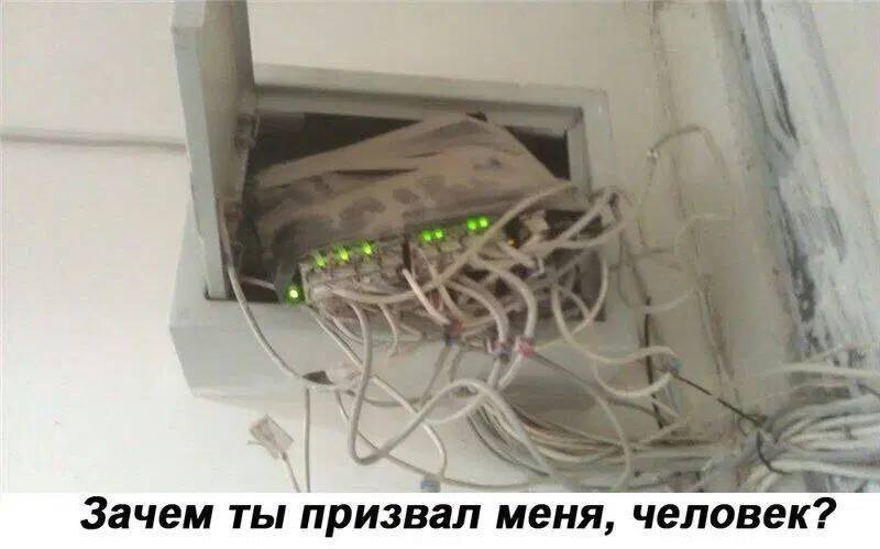 В торник дичко