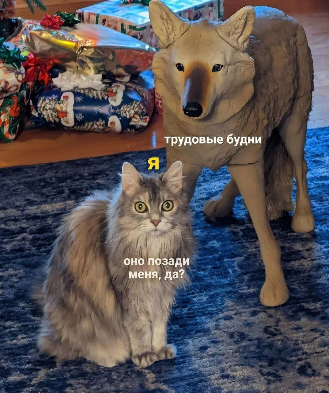 В торник дичко