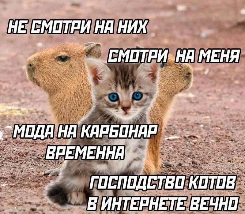 В торник дичко