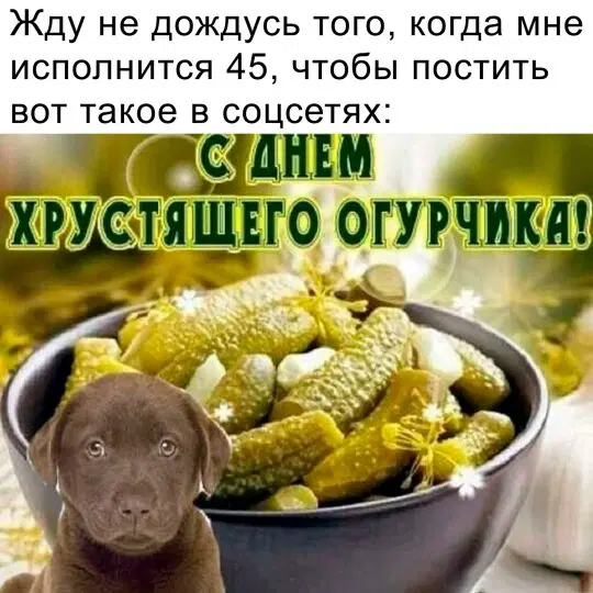 Отобиристая дичка