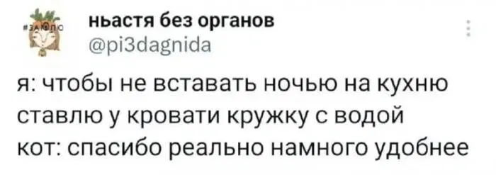 Отобиристая дичка