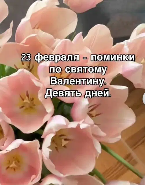 Отобиристая дичка