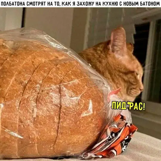 Отобиристая дичка