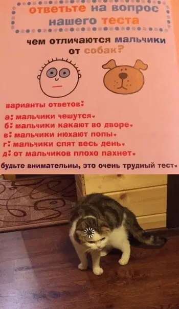 Отобиристая дичка