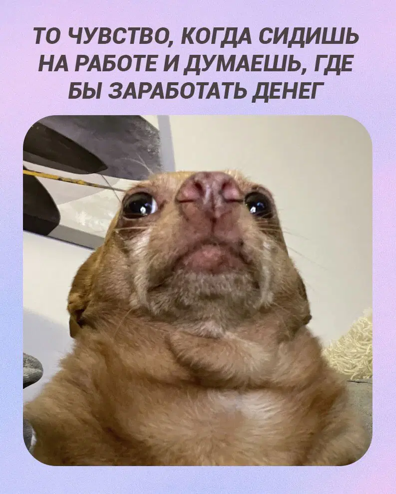 Отобиристая дичка