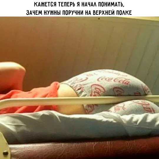 Отобиристая дичка