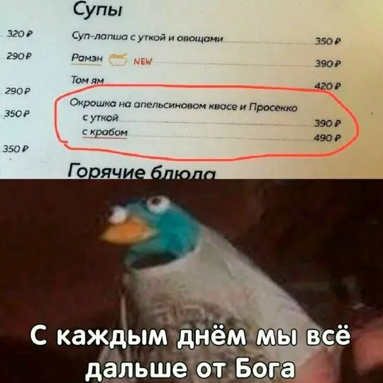 Ди ди дичко