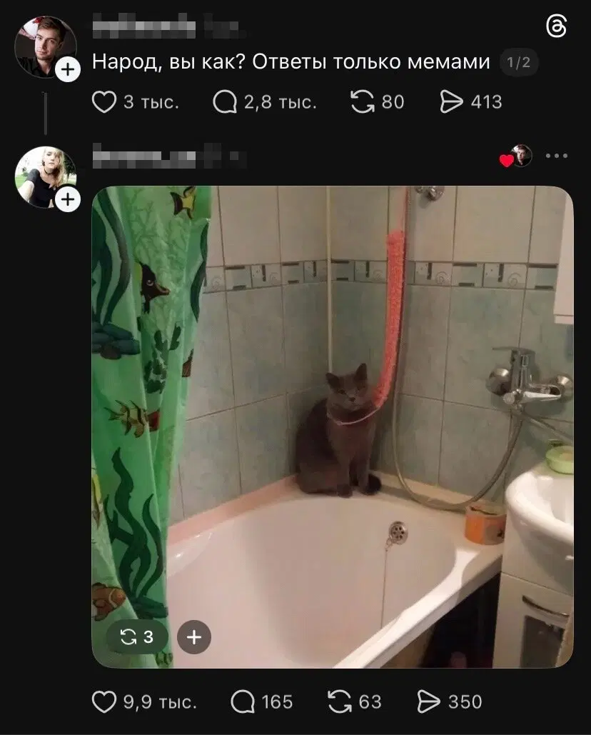 Ди ди дичко