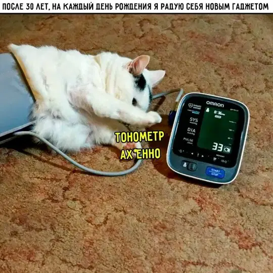 Ди ди дичко