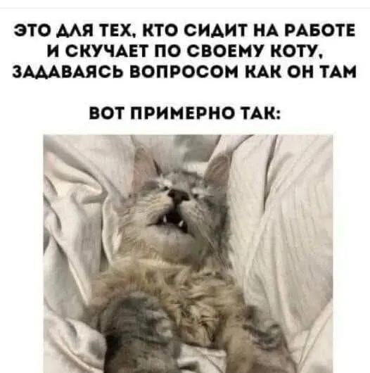 Скучно поди без дичкиного компота?