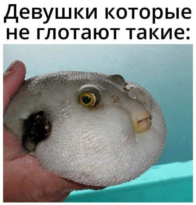 Скучно поди без дичкиного компота?