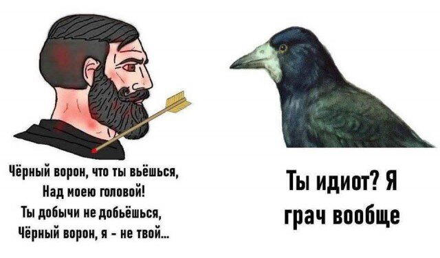 Скучно поди без дичкиного компота?