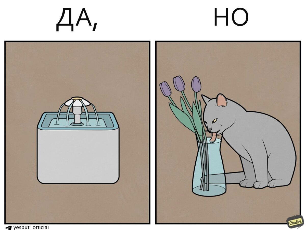 Кошачьи  Да, но