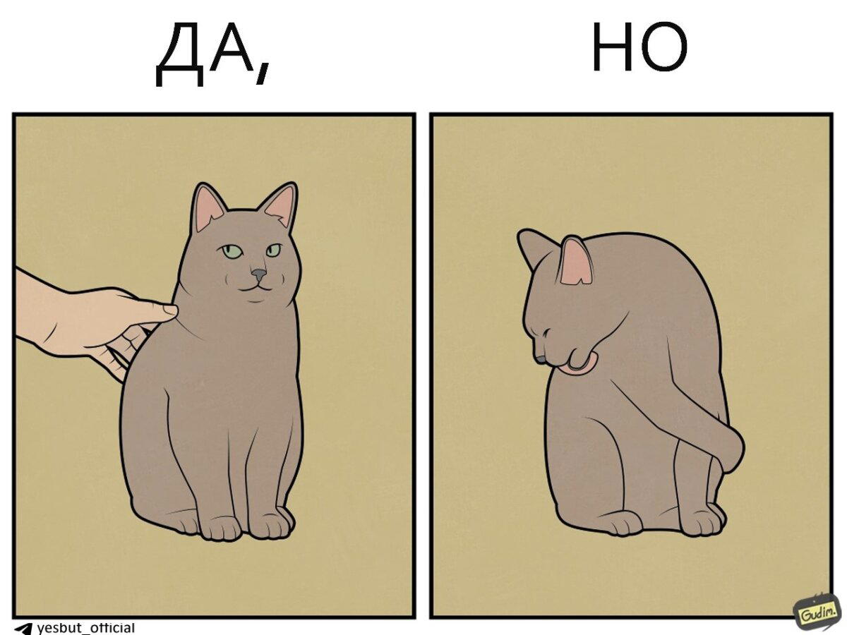 Кошачьи  Да, но