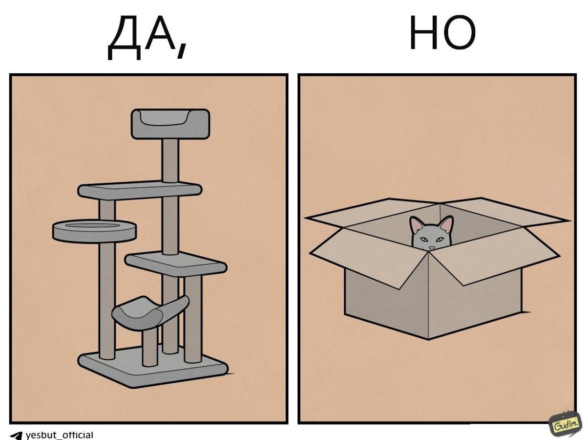 Кошачьи  Да, но