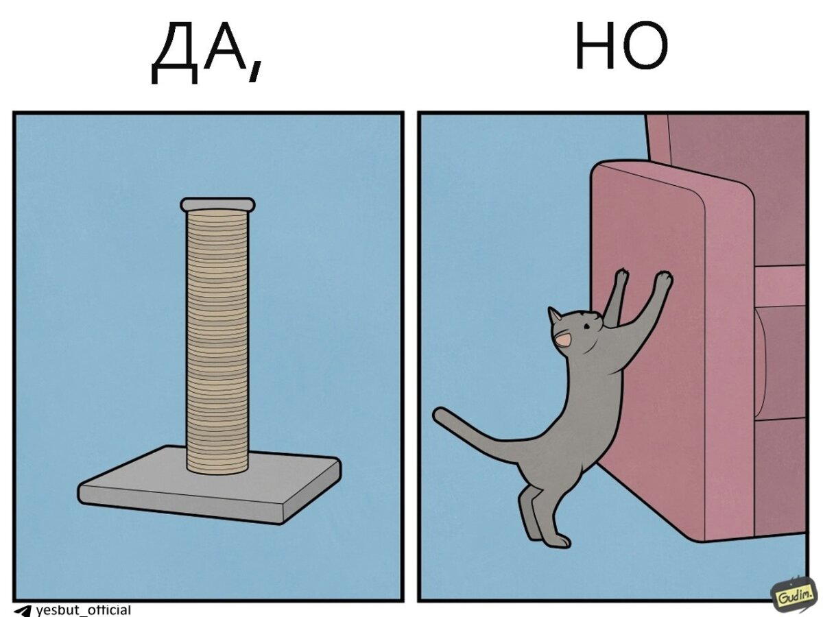 Кошачьи  Да, но