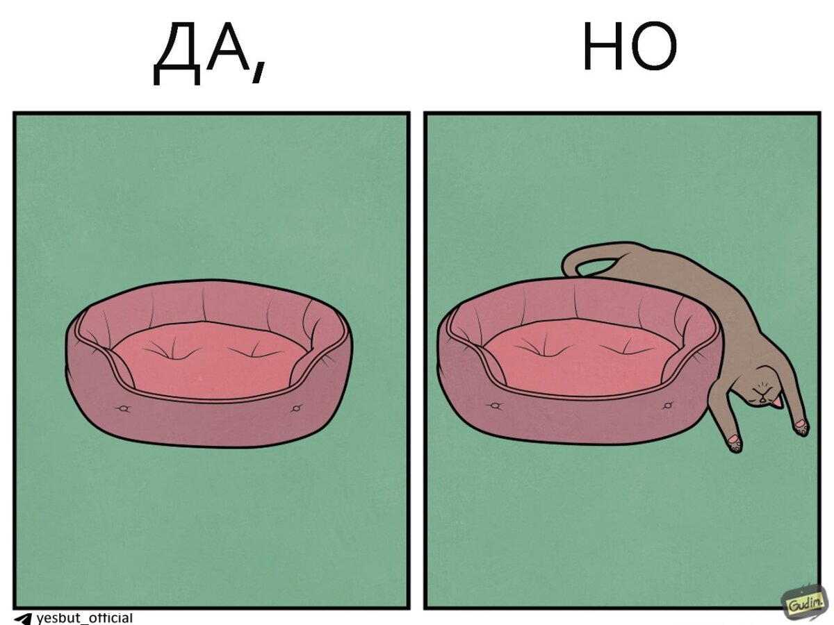 Кошачьи  Да, но