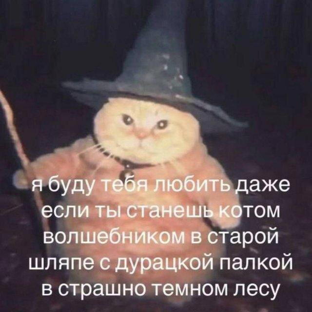 Четверг под запах дичи