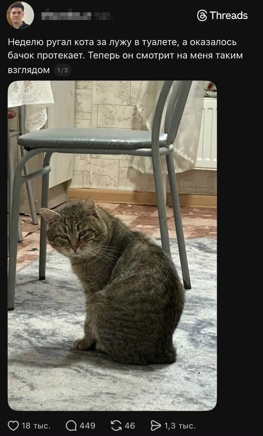 Четверг под запах дичи