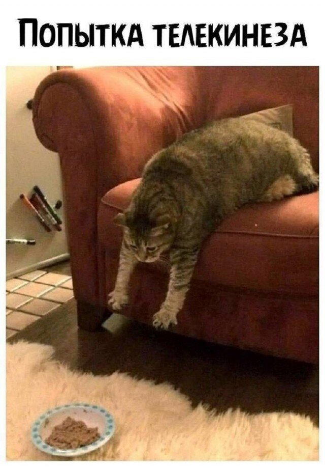 Четверг под запах дичи