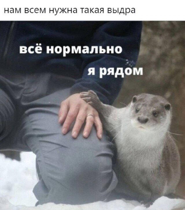 Четверг под запах дичи