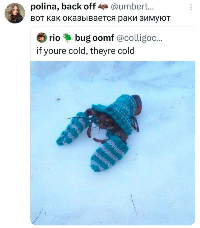 Четверг под запах дичи