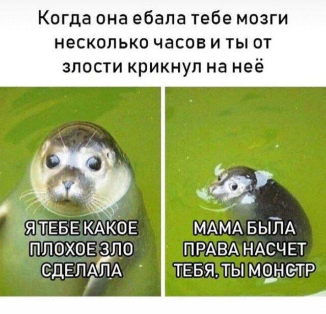 Четверг под запах дичи