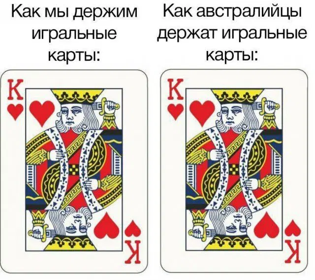 Вы хотели дички?