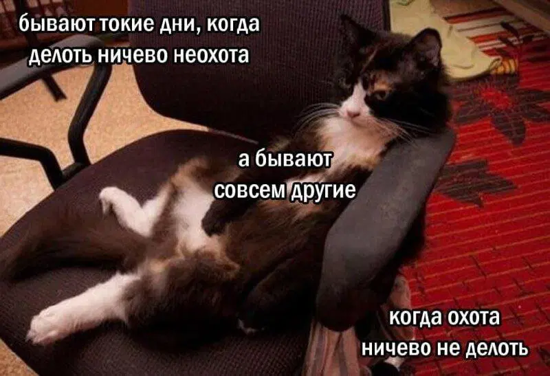 Вы хотели дички?