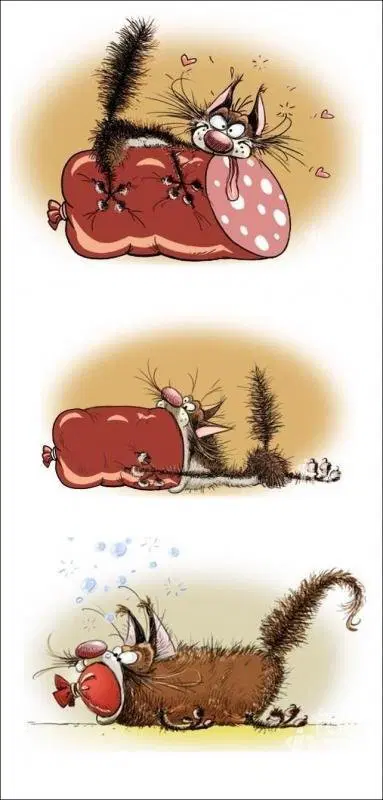 Что такое КУСь на самом деле