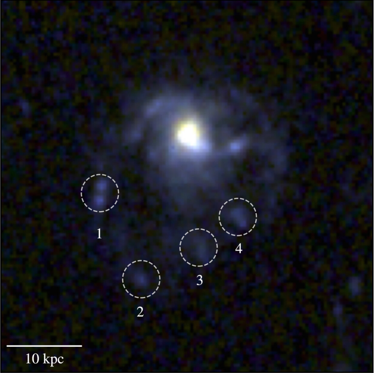 Видны "вымытые" хвосты-щупальца COSMOS2020-635829