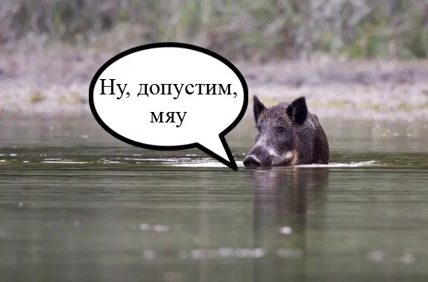 Тоже кусливый.