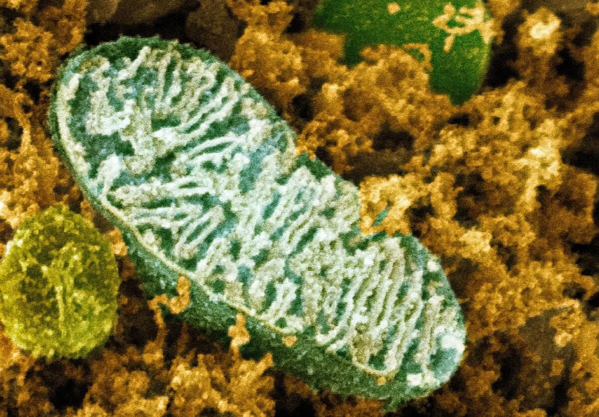 © fineartamerica.com