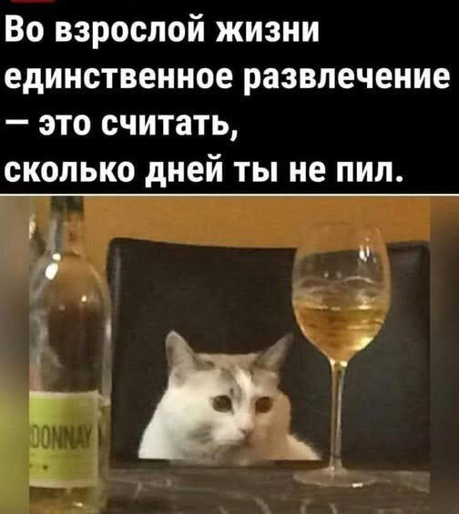 Запоздалой дички нате