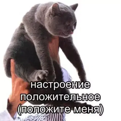 Запоздалой дички нате