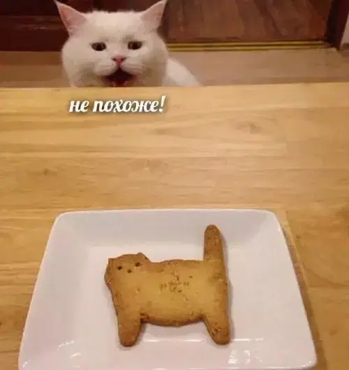 Запоздалой дички нате