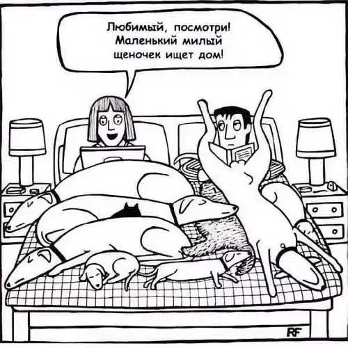 Запоздалой дички нате