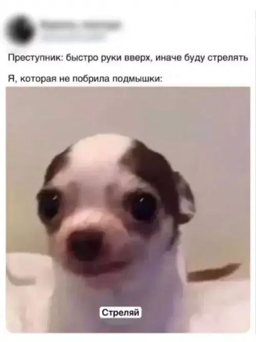 Дичкино наследие