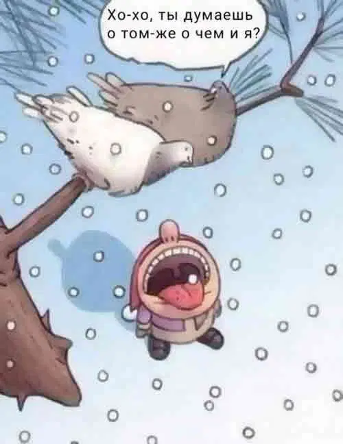 Дичкино наследие