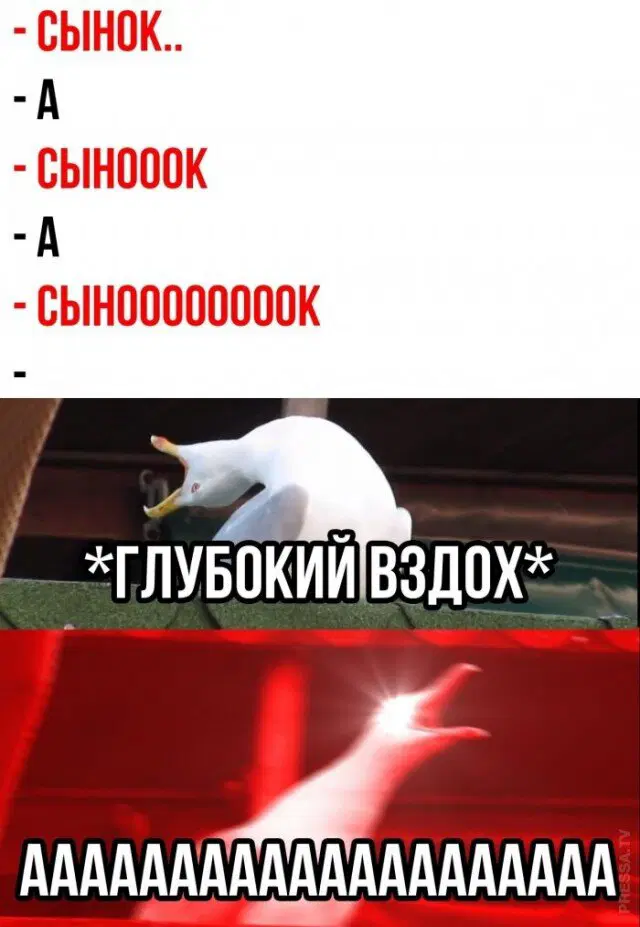 Дичкин воскресенск